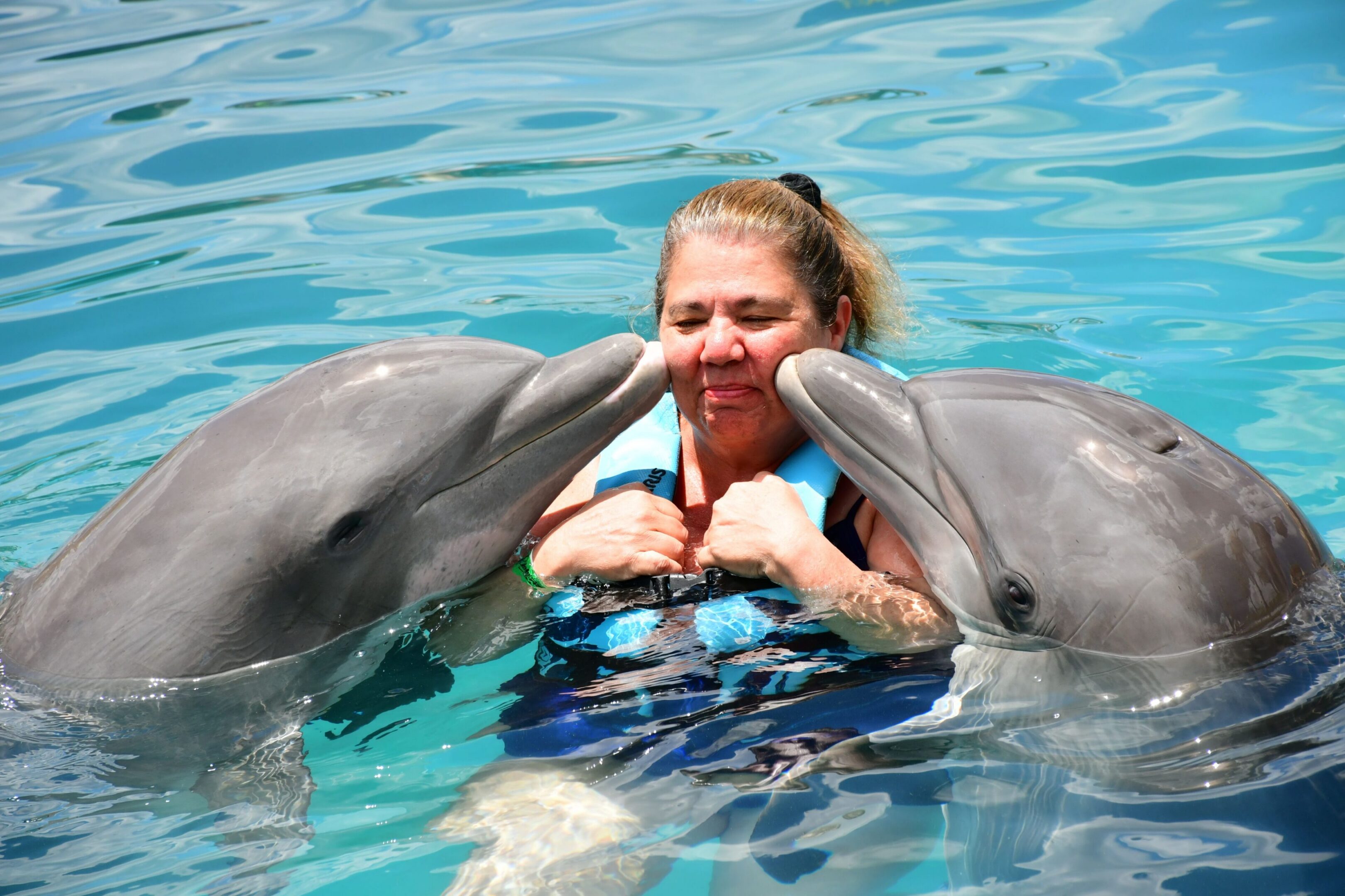 Swimming with Dolphins, Jamaica